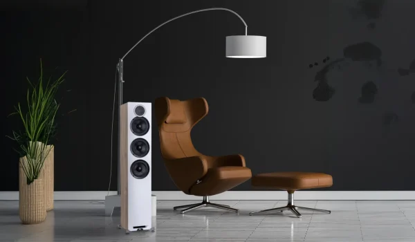 ELAC Debut 2.0 F5.2-Image (1)
