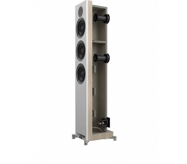 ELAC Debut 2.0 F5.2-Image (10)